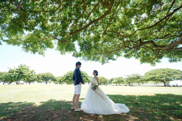 ハワイ 南国スナップの写真素材FYI01922729ストックフォトの Qlean Market キュリンマーケット