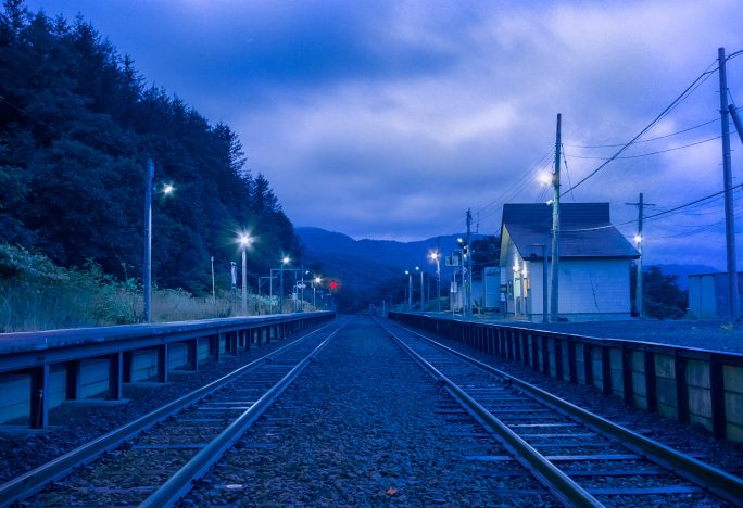 JR北海道 函館本線 赤井川駅 - たからひかり薔薇が咲く