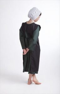 なんと自動車のかわりに馬車に乗って移動する「アーミッシュUber」が登場 - GIGAZINE