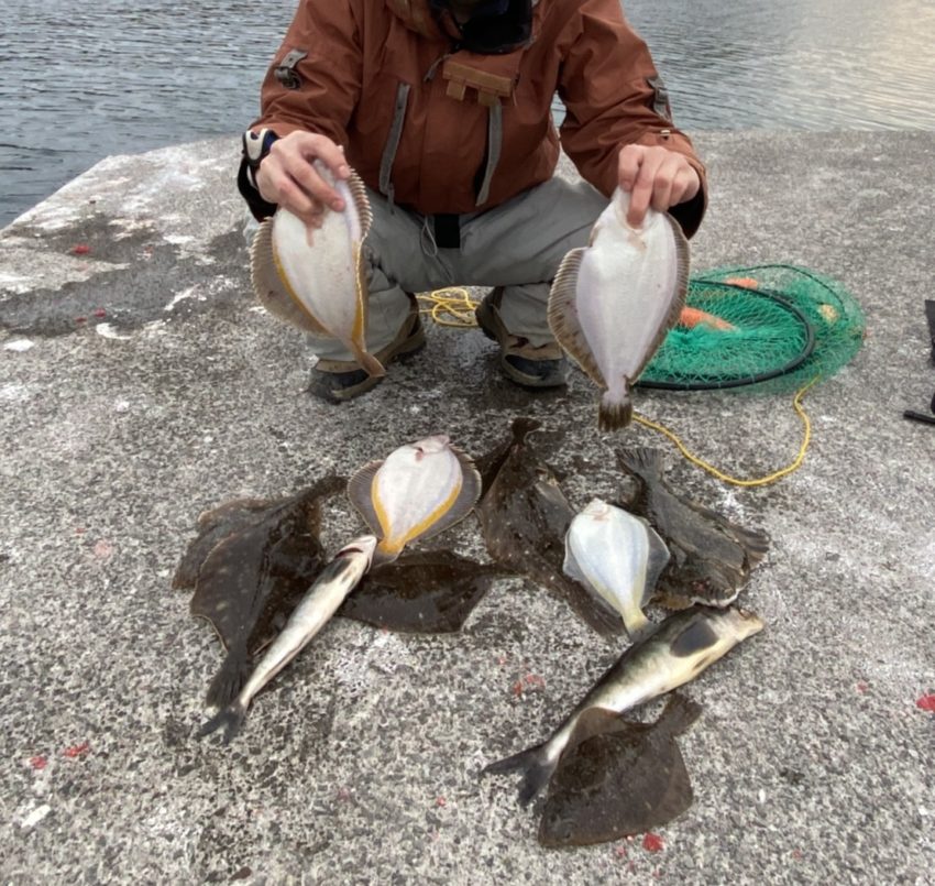 momoさん講座 ４月のカレイ投げ釣り 北海道 石狩湾新港momoさん講座
