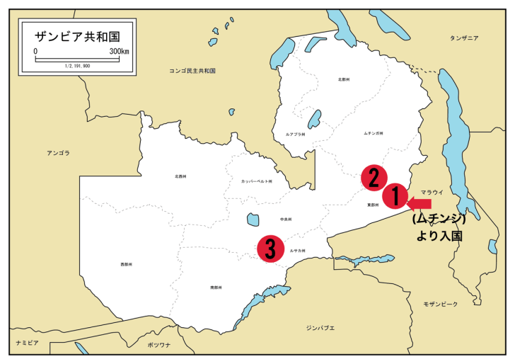 アフリカのザンビア地図、ザンビアの場所とフラグを示すアイコン。Premiumベクトル素材