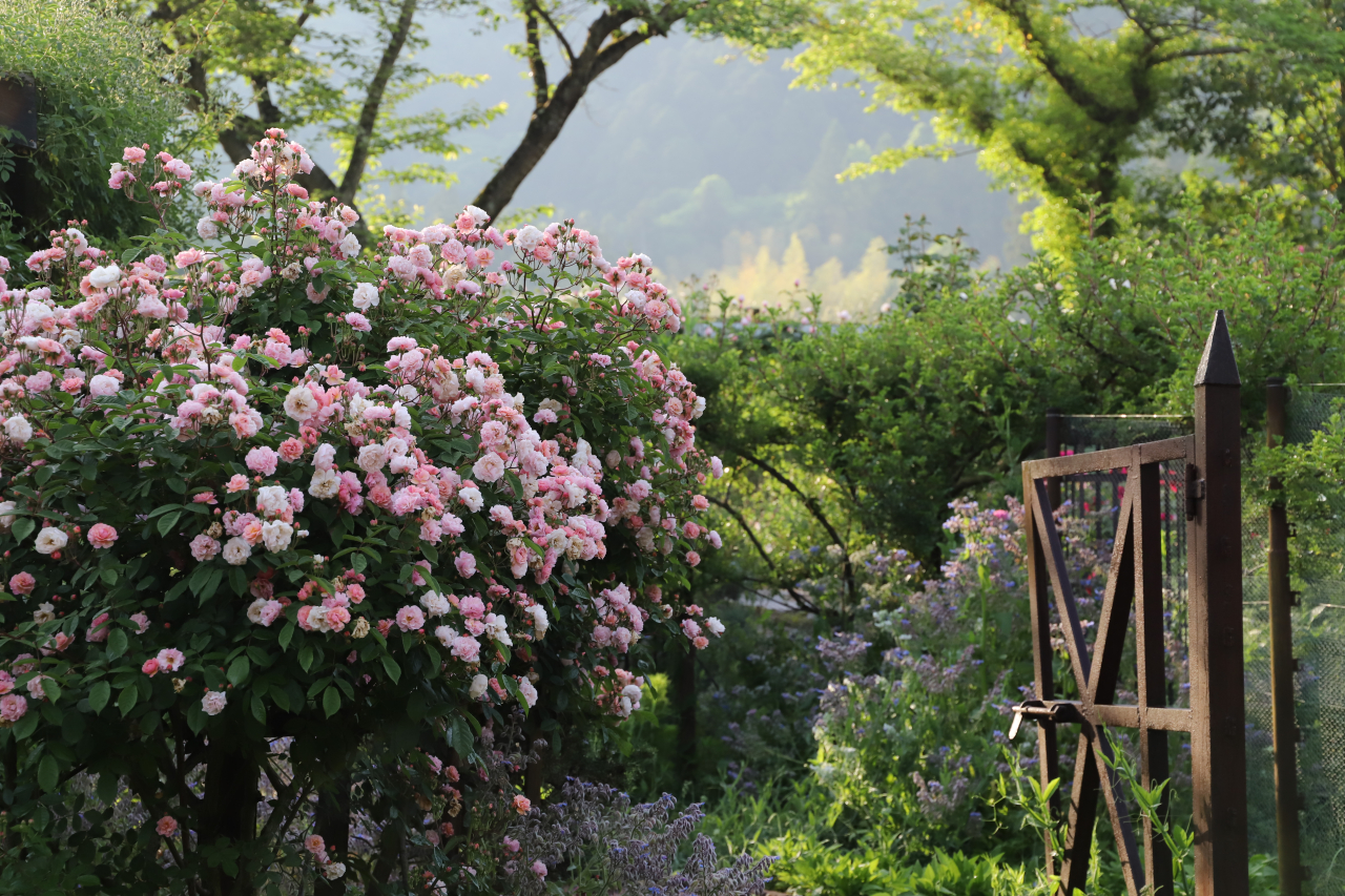 滋賀県のローザンベリー多和田でひつじのショーンに会おう