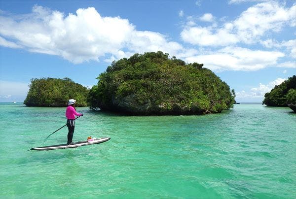 「女性だけの神遊び」集落繁栄を願い30人が輪踊り 400年の伝統、安和のウシデーク 沖縄・名護市