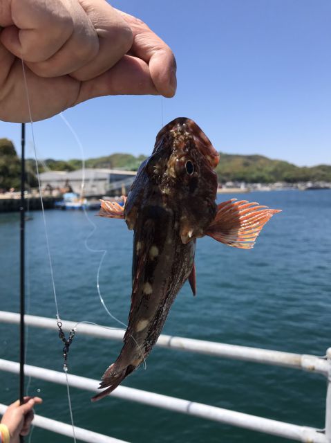 福山・尾道・しまなみ周辺の海釣りポイント伯方島・北浦港周辺