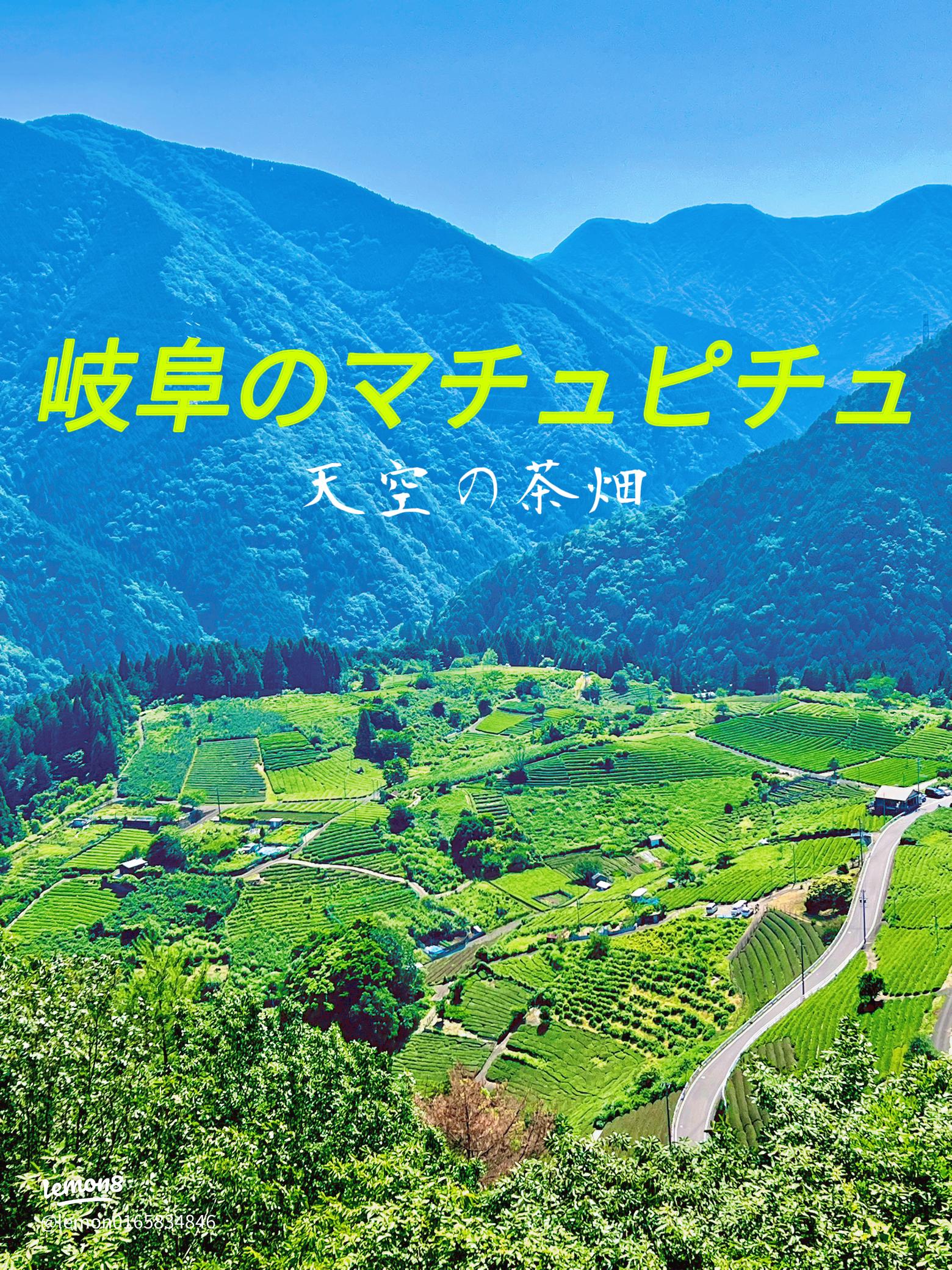 岐阜ツーリング 岐阜のマチュピチュ 天空の茶畑へ！絶景を満喫するサイクリングコースツーリングレポートバイクエッグ