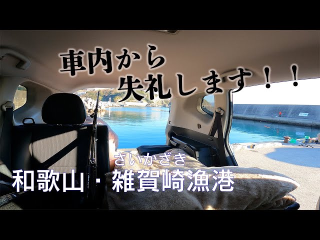 海っぺら散歩♪やんやんの海から山まで♪