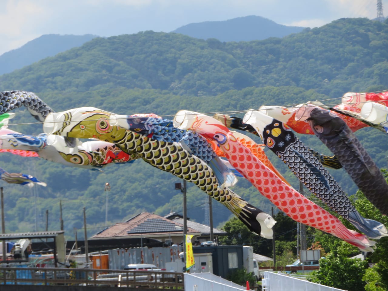 鈴川鯉のぼりまつり特別展示ひらしん平塚文化芸術ホール