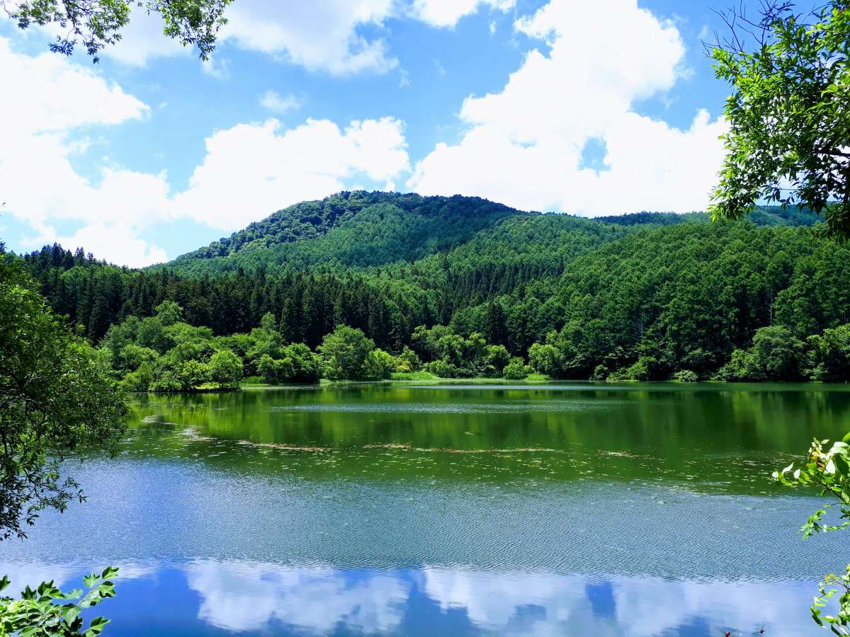 トップ - FUMONキャンプ場 長野県 諏訪