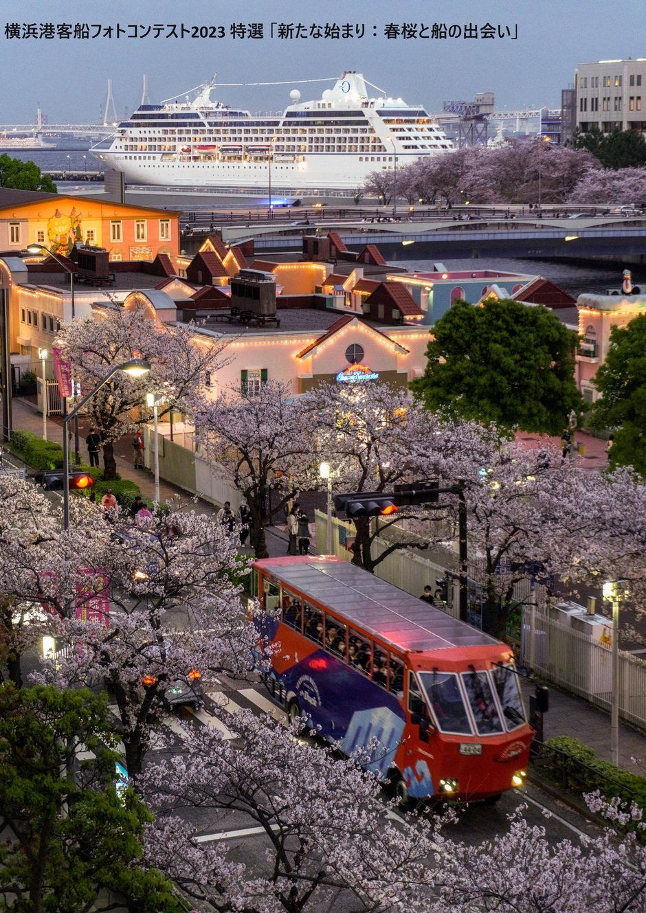 大黒ふ頭に停泊する世界最大級の船を、横浜港から見てきました。20日 日・祝来港クイーンエリザベスの参考に横浜港シンボルタワー横浜・湘南で子供と遊ぶ- あそびい横浜・湘南