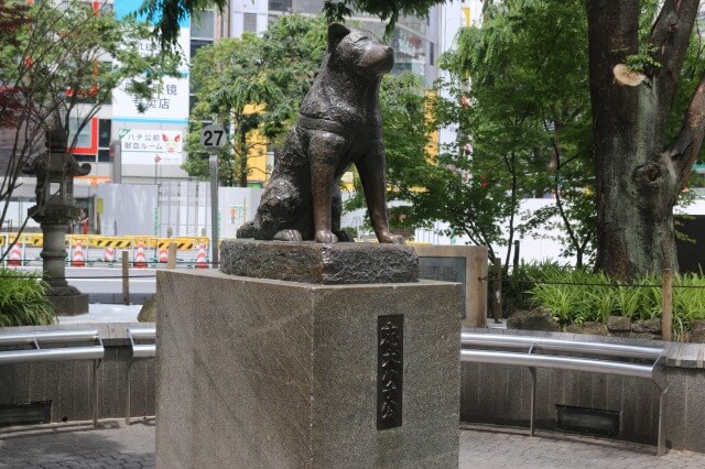 渋谷スクランブル交差点を英語で説明混雑の様子を７つの例文で紹介KANAMARI かなまり