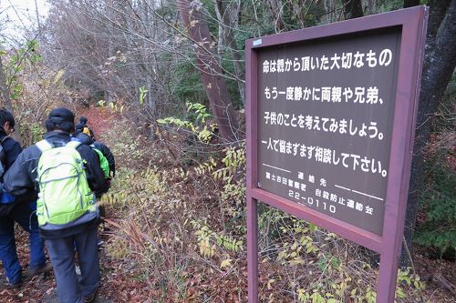 青木ヶ原樹海とは？成り立ちと神秘の魅力をやさしく解説FUJI HAT