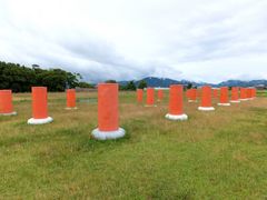 カメラ愛好家が集う藤原宮跡の蓮奈良の宿大正楼