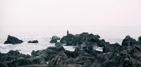 様々な魚種を狙える秘境、真鶴のボート釣りに初挑戦。2人で3時間で9種目！こくぶボートつりいろライフ