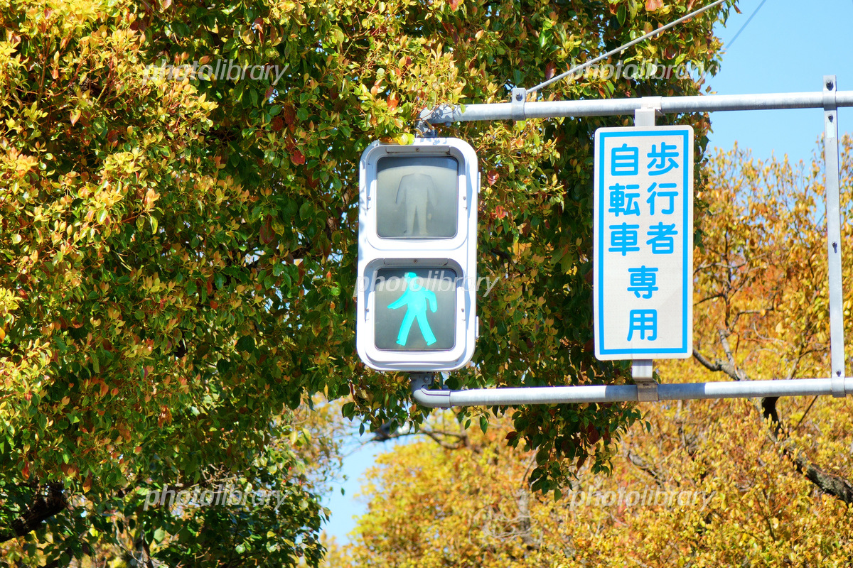 歩行者・自転車 用 押ボタンhachiri