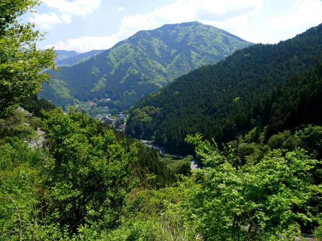 奥祖谷二重かずら橋にし阿波コンテンツにし阿波～剣山・吉野川観光圏公式サイト