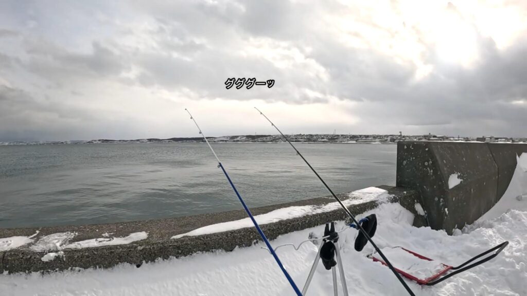 北海道の「カレイの聖地」で50cm超え頭に座布団級が乱舞 根室海峡TSURINEWS -