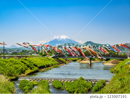 ぶらり旅 平塚市岡崎の鈴川鯉のぼりまつり2024 日本の四季