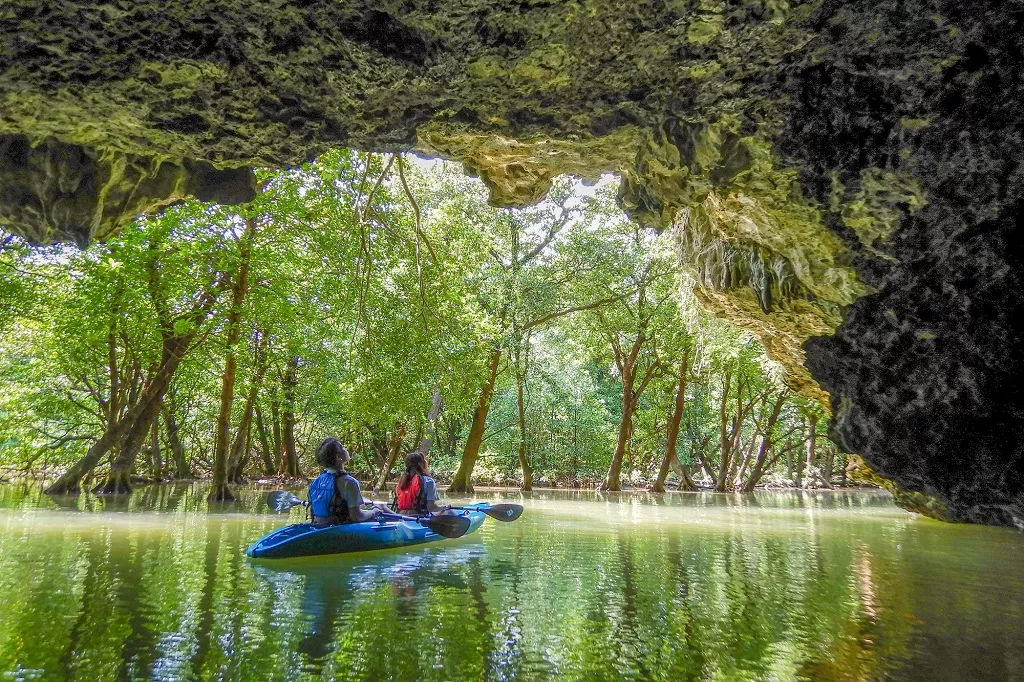 強烈な南風が続いたカーチバイ期間はマングローブ河川と純淡水域河川を攻めまくり🐟特に数年ぶりにエントリーできるようになった純淡水域河川ではオオクチユゴイ がたくさん遊んでくれましたꉂꉂ ¯ᗜ¯艸 𐤔 たまには淡水系も楽しいですな！川釣りミキユー
