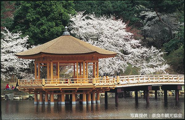 奈良公園 鏡池と東大寺 大仏殿 25516028937