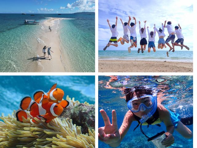 マリン体験＋竹富観光 幻の島上陸＋シュノーケリング＋竹富島で水牛車観光＜約9時間 昼食付 M-4＞ 石垣島ドリーム観光