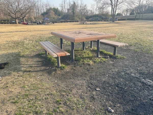 鬼怒川緑地運動公園子供とお出かけ情報「いこーよ」