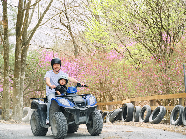 ASOBIYUKU 京都るり渓温泉の周辺 子供の遊び場・子連れお出かけスポットいこーよ