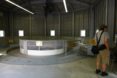 白丸ダム」アクセス駐車場情報！魚道見学の螺旋階段が美しい！関東旅行ブログ