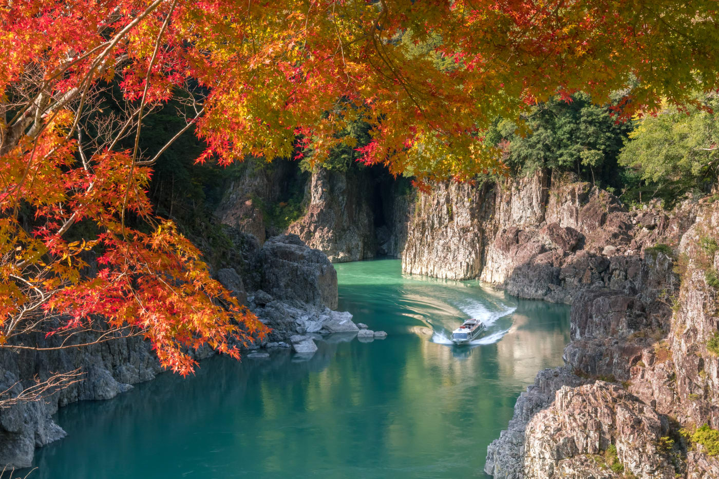 吉野熊野国立公園」 東牟婁郡那智勝浦町-公園 緑地-〒649-5312 の地図