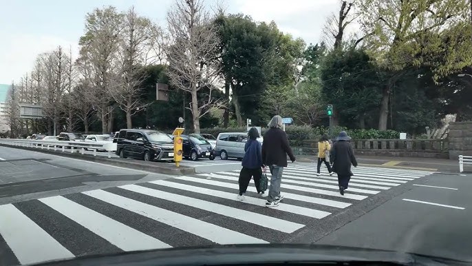 お花見ドライブで楽しめる「世界一の桜並木」 - ウェザーニュース