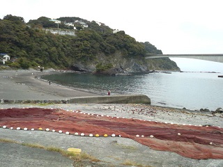 琴ヶ浜海岸体験・観光スポット公式 神奈川県のお出かけ・観光・旅行サイト「観光かながわNOW」