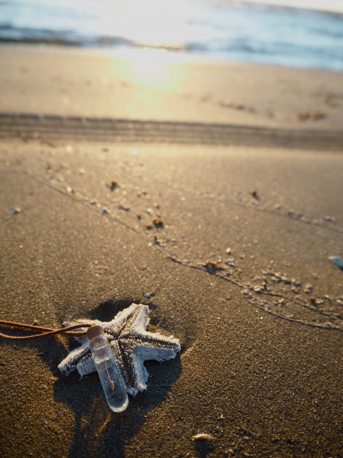 石川県 日本で唯一砂浜を自転車で走れる千里浜なぎさドライブウェイを、レンタサイクルで13kmサイクリング -