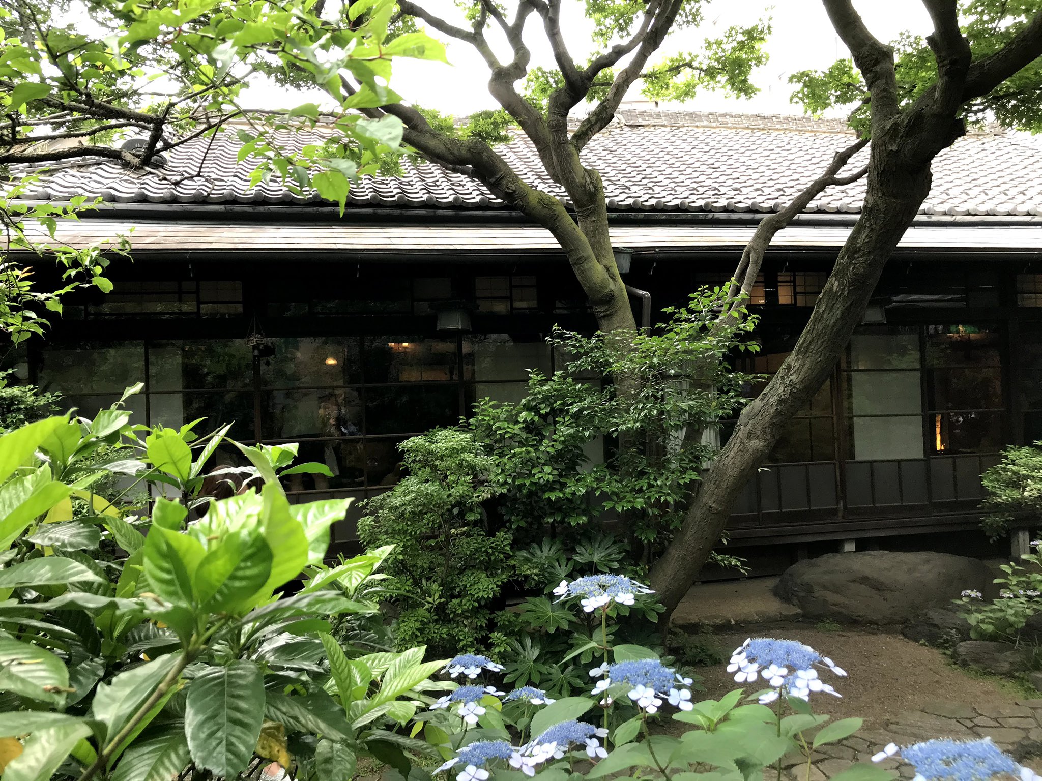 水月ホテル鴎外荘の今 - 荒川三歩