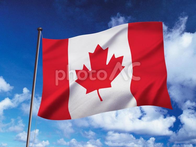 カナダ国旗～意味・歴史・なぜメープルリーフか～さよブログ