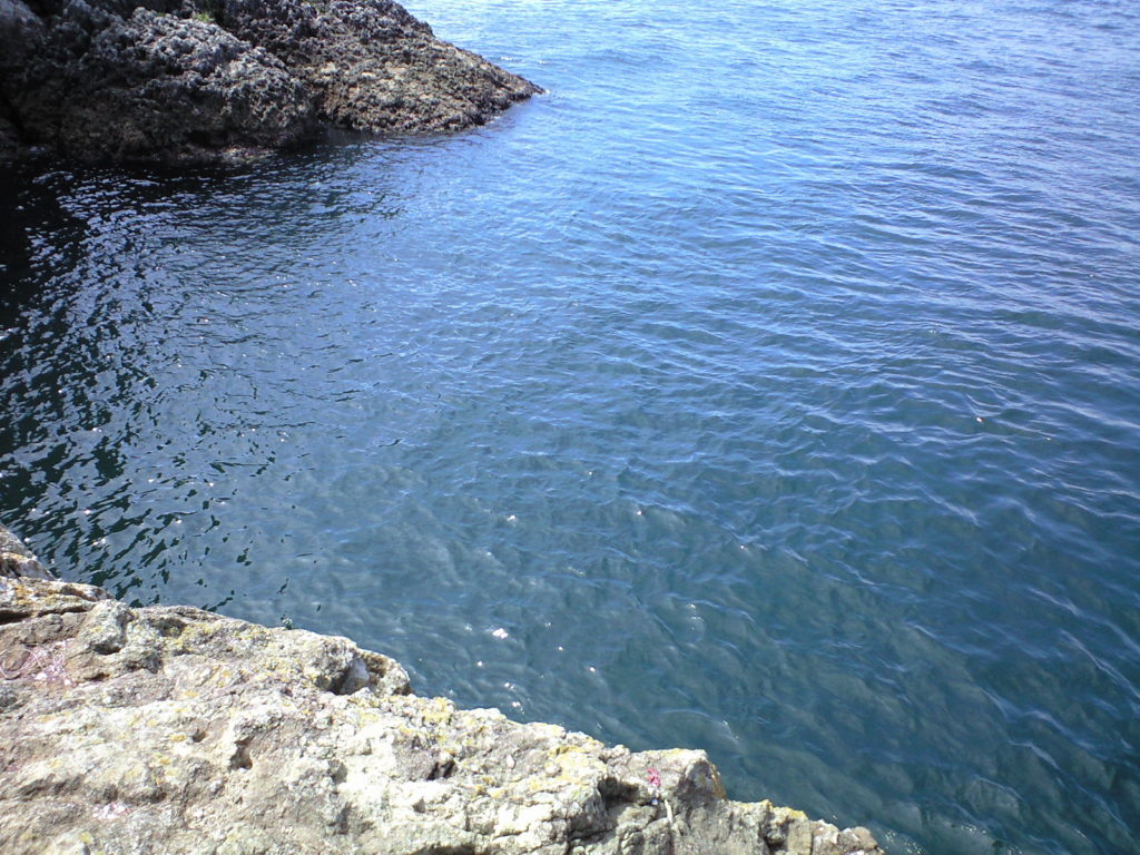 くしもと大橋 日本の名道50選 バイクブロス・マガジンズ