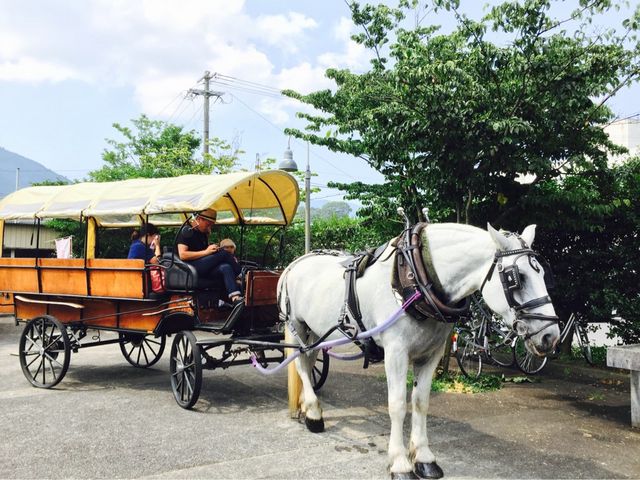 観光辻馬車 アクセス・営業時間・料金情報 - じゃらんnet