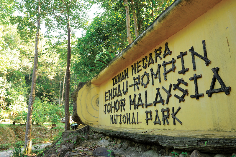 2泊3日 グヌンムル国立公園ツアー サラワククチン発Klook