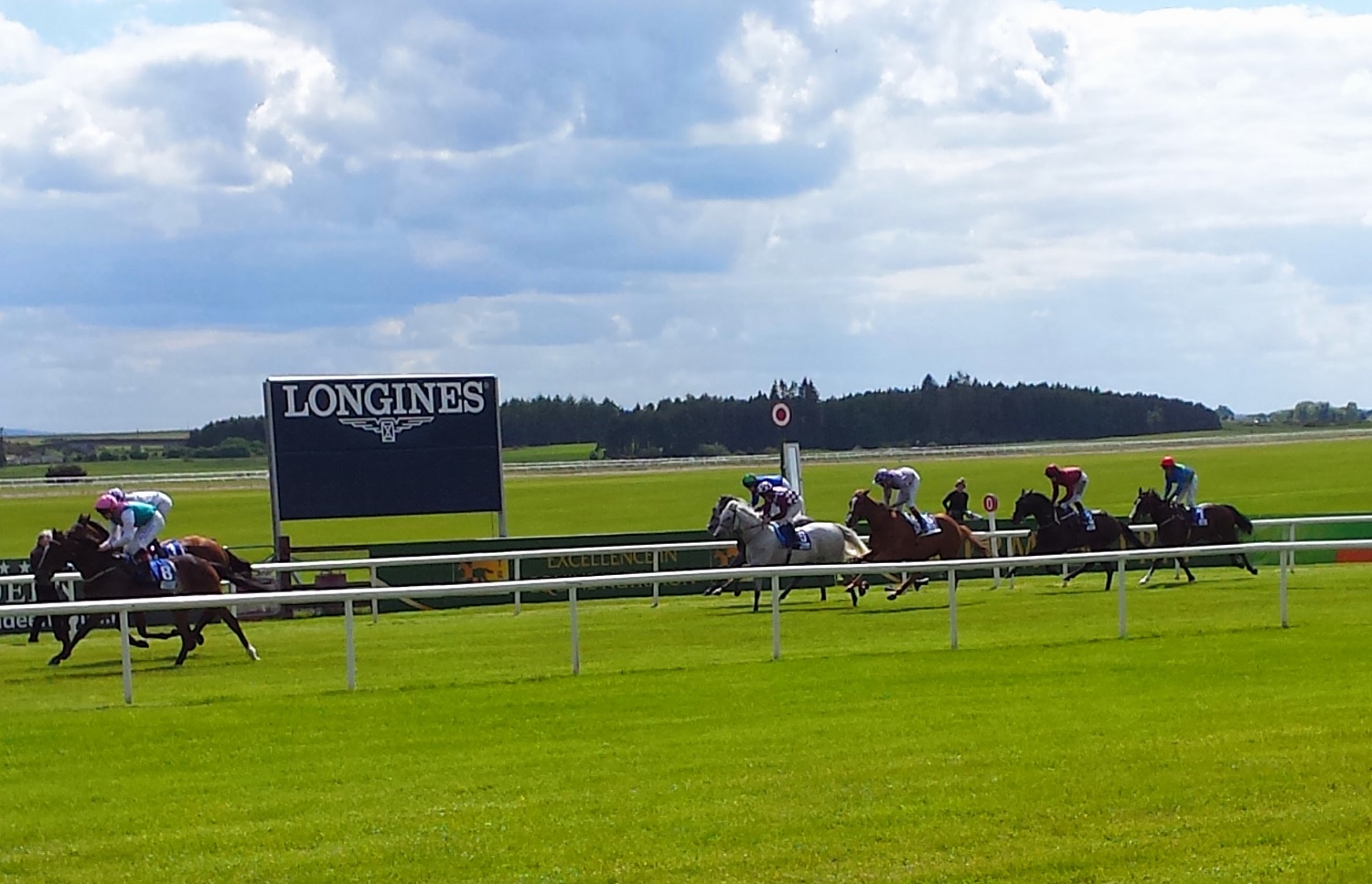 立川崖線と東京競馬場 - ありゃりゃサンポ
