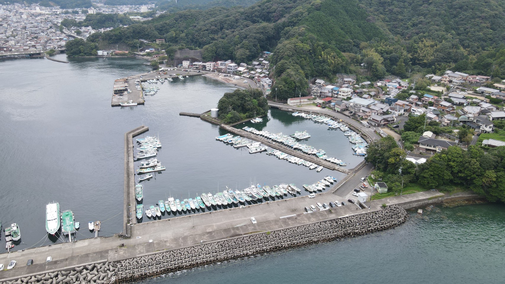 グレ 釣友と３人２３センチ頭に１９匹 三重県尾鷲市・三木浦漁港：中日スポーツ・東京中日スポーツ