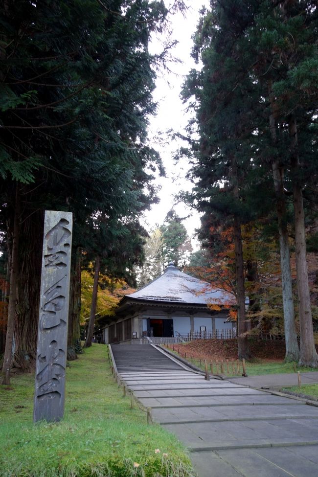 朝市だからこそ野菜が安く美味しく頂けます🥬✨ ・ ・ ぜひお立ち寄りくださいませ☺️✨