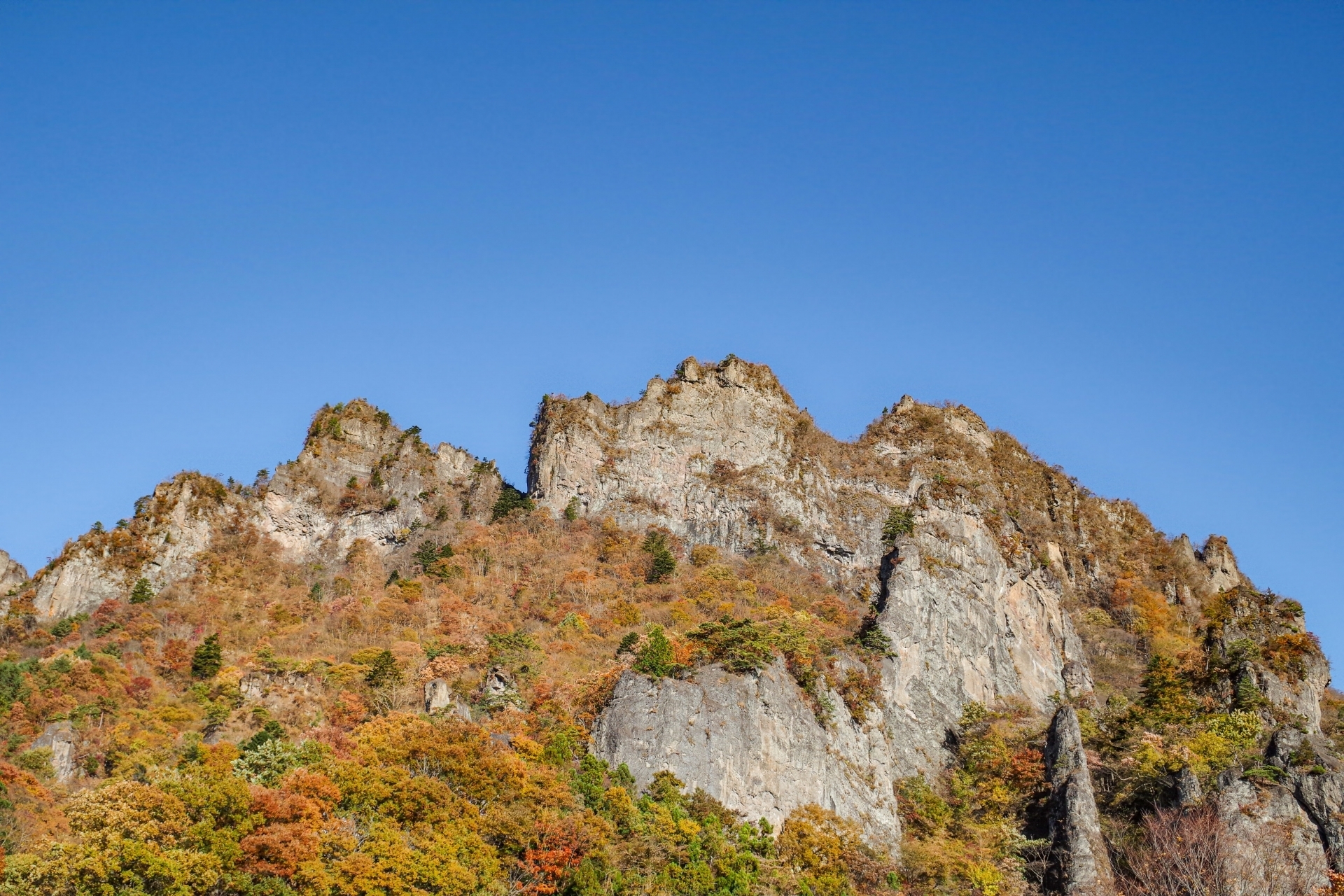 中之嶽神社周辺のグルメ 5選トリップアドバイザー