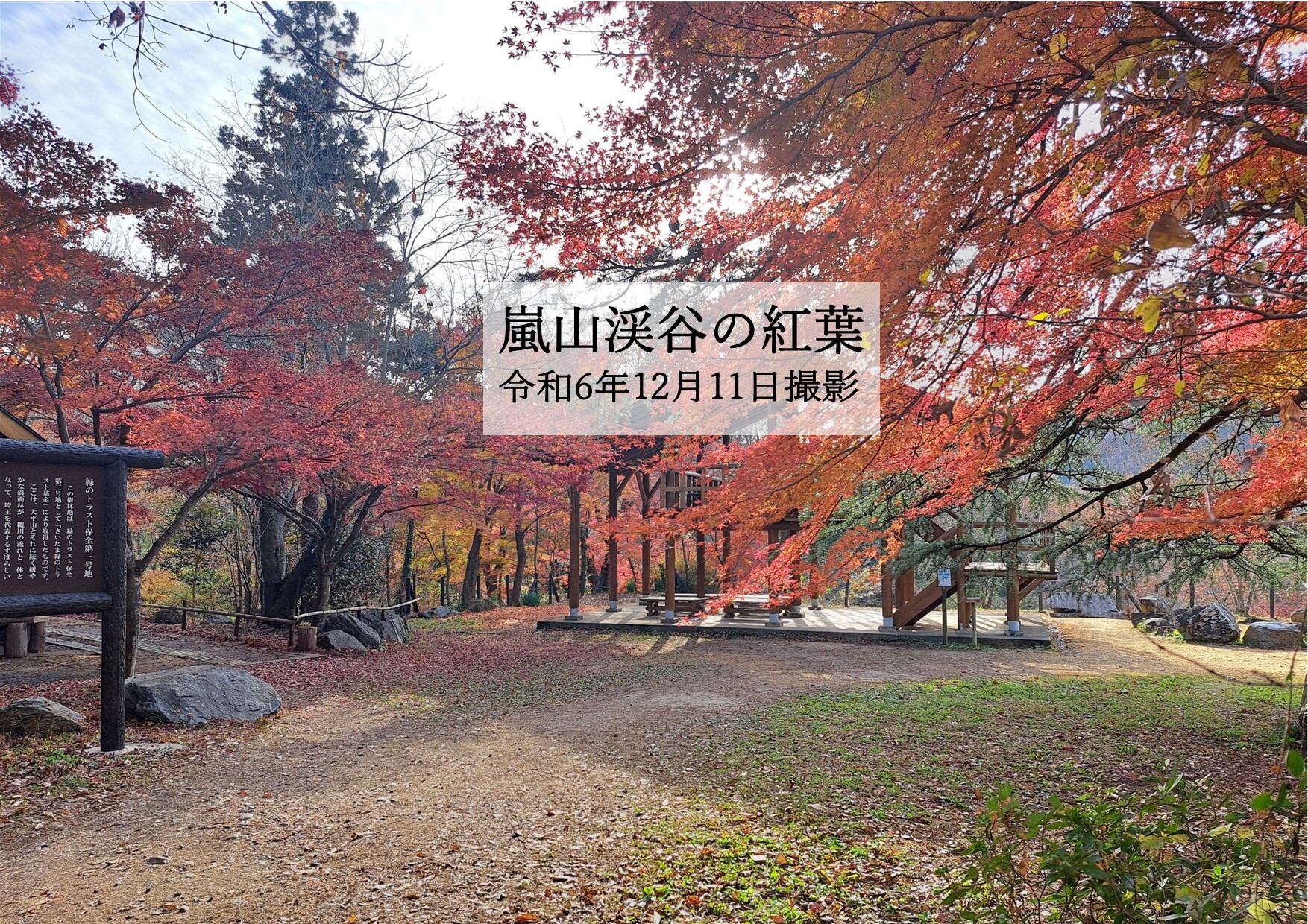 嵐山渓谷のクチコミ一覧 - じゃらんnet