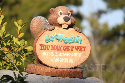 スプラッシュマウンテン どこに座ってもびしょ濡れ！ - 癒しの国の世界へようこそ