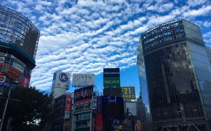 11 1オープン！ 渋谷の新名所「渋谷スクランブルスクエア」の和食レストラン速報食べログマガジン