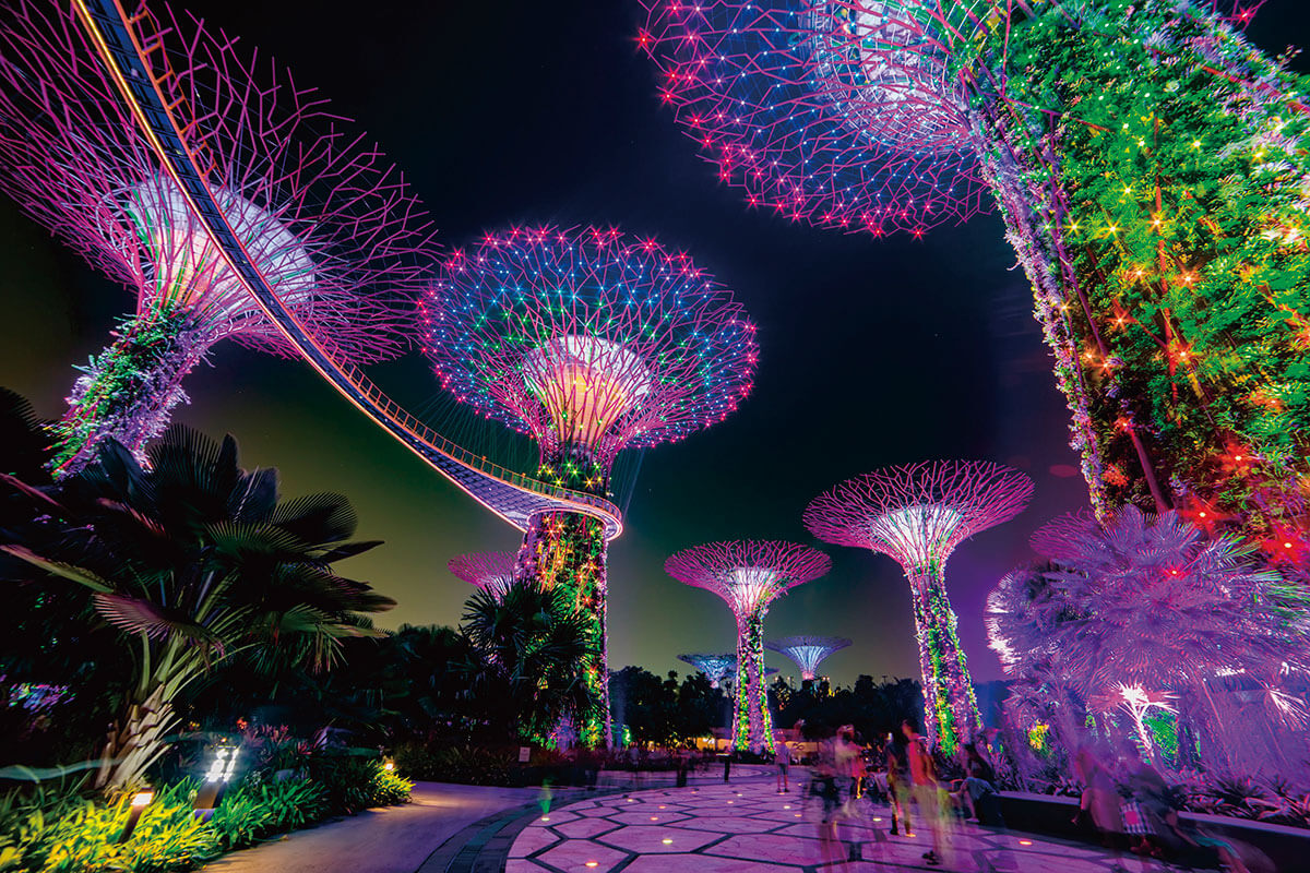 シンガポール・ガーデンズ・バイ・ザ・ベイ入場券