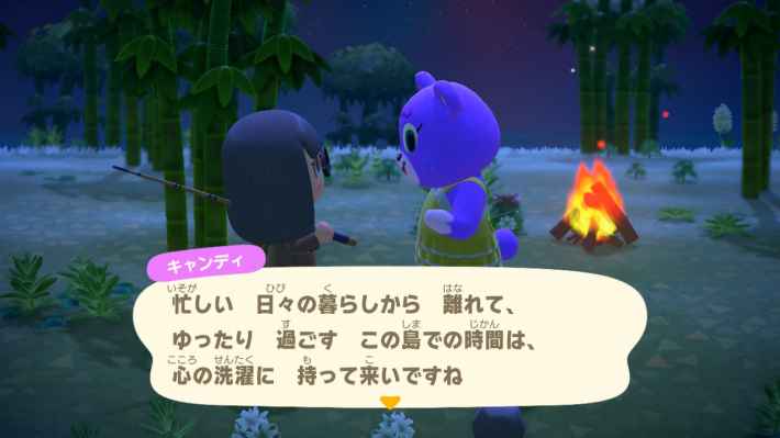 いれいす島あつ森行き方TikTok