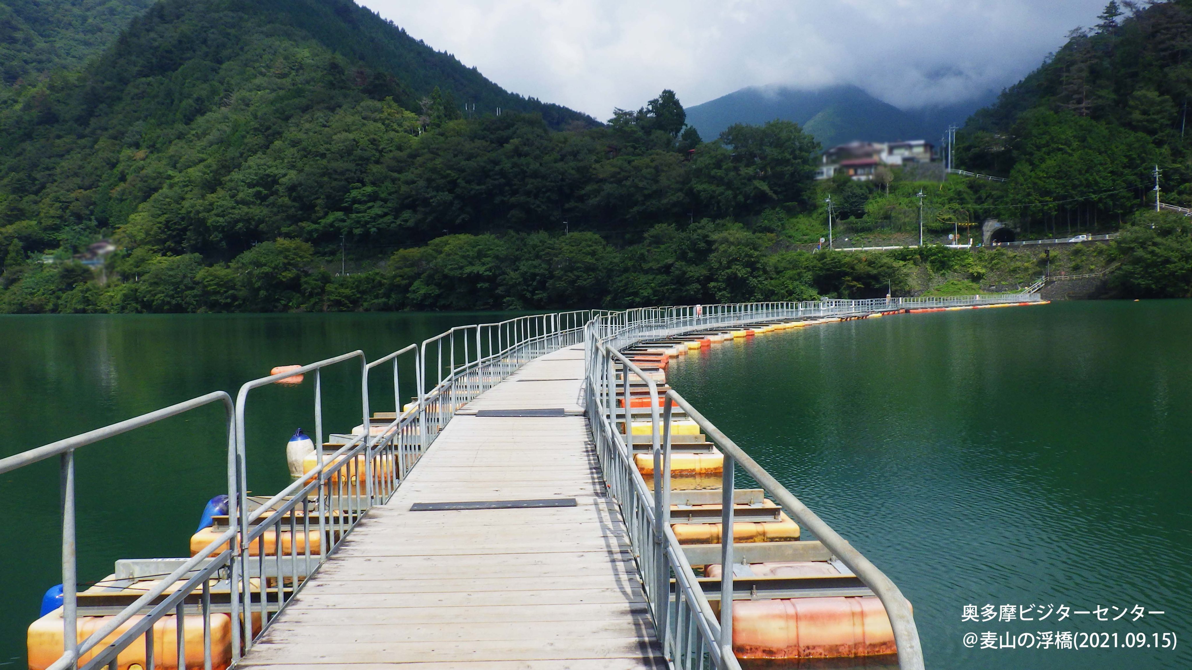 奥多摩湖に浮かぶ麦山浮橋 10790020639 の写真・イラスト素材アマナイメージズ