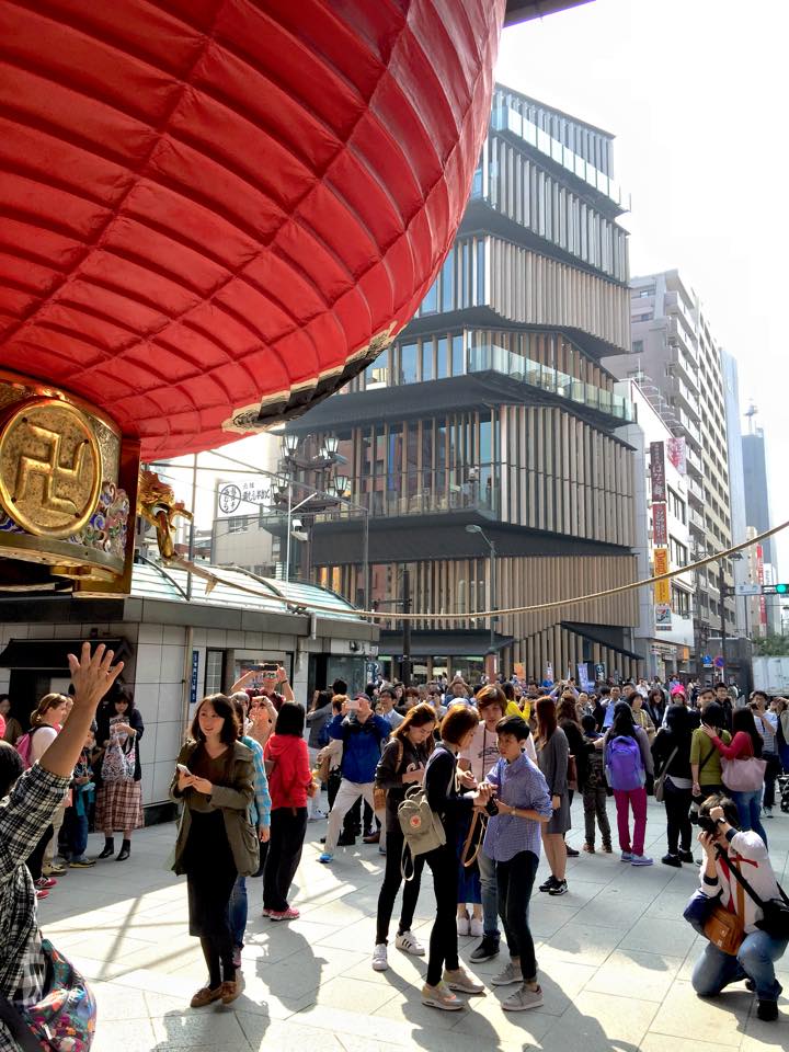 浅草文化観光センターにて、朝顔を用いた期間限定の装飾を手がけました