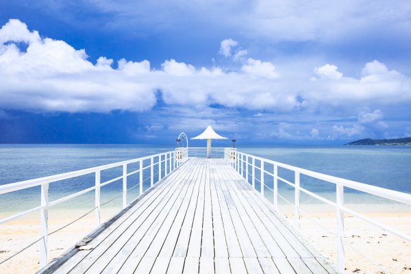 島のうし 石垣屋沖縄県石垣島の焼肉店:ゆっくりと寛げる空間と「先島牛」をご提供 –