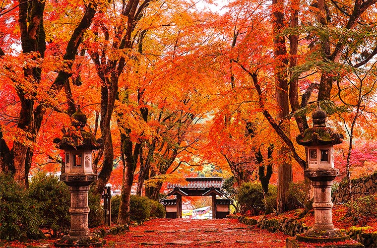 神戸 紅葉スポットおすすめ11選！見ごろ時期やライトアップ情報、名所から穴場まで紹介 2024 兵庫県はりまエリア