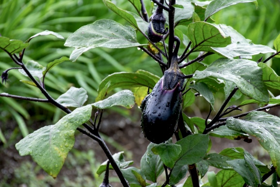 那須塩原市でリースバックを使って不動産を売るならどこがいい？信頼できるおススメ会社の選び方など私がえらぶリースバック